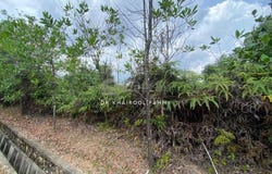 Jalan Belimbing, Pasir Gudang, Johor 81700