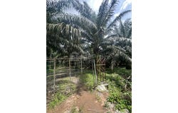 Jalan Kilang, Jeram, Selangor 45800
