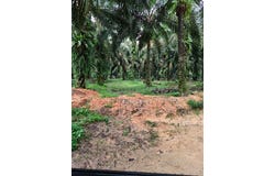 Ulu Tiram, Johor 81800