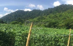 Bentong, Pahang 28750