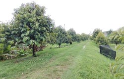 Off Jalan Desa Jaya, Rawang, 48000 Selangor, Rawang, Selangor 48000