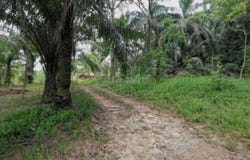 Klang, Selangor 41050