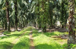Kuala Selangor, Selangor 45600