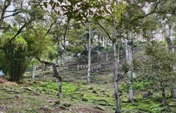 Kulim, Kedah 9000