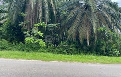 Gelang Patah, Johor 81550