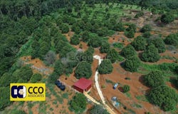 Kuala Kangsar, Perak 33020