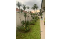 Petaling Jaya, Selangor 46000