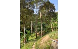 Bukit Bendera, Penang 22223