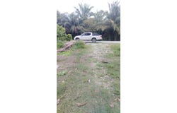 Banting, Selangor 42700