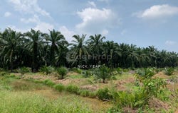 Tanjung Malim, Selangor 44000