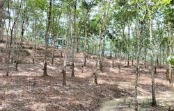Hulu Langat, Selangor 43500