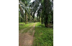 Muar, Johor 0