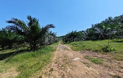 Sungai Siput, Kuala Kangsar, Perak 31100