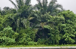 Jenjarom, Selangor 42500