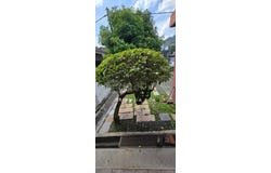 Petaling, Selangor 52200