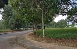 Bukit Jelutong, Selangor 0