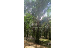 Hulu Selangor, Selangor 44100