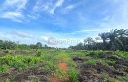 Pontian, Johor 82000
