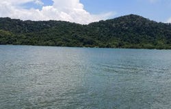 Sungai Nibong, Penang 11900
