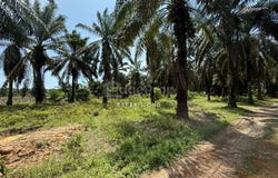 Kluang, Johor 86200