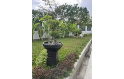 Jalan U11/x, Shah Alam, Selangor 40170