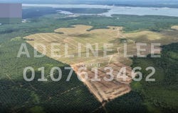 Tanjung Langsat, Pasir Gudang, Johor, Pasir Gudang, Johor 81670