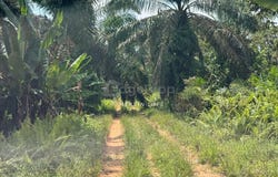 Kulai, Johor 81000