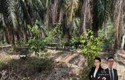 sungai siput, Kuala Kangsar, Perak 31100