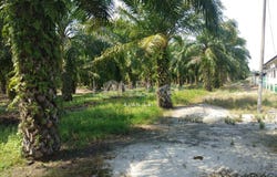 j, Sepang, Selangor 43950