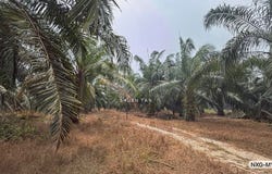 Kuala Selangor, Selangor