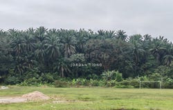 Klang, Selangor 41050