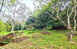 Bentong, Pahang 28750
