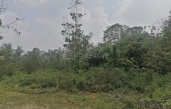 Senai, Johor 81400