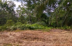 Semenyih, Selangor