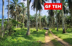 Selama, Selama, Perak 34100