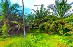 Sabak Bernam, Selangor 45300