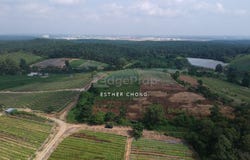 Johor Bahru, Johor 81200