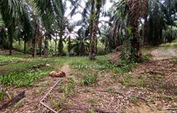 Batu Gajah, Perak 31550