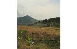 Bukit Tinggi, Bentong, Pahang 28750