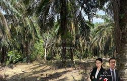 sungai siput, Kuala Kangsar, Perak 31100