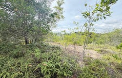 Taman Ambang Suria, Bandar Puncak Alam, Selangor 45010