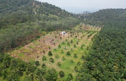 Semenyih, Selangor