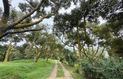 Kampung Tras, Bentong, Pahang 28700