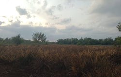 Kluang, Johor