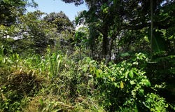Semenyih, Selangor 43500