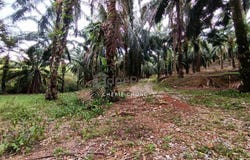 Batu Gajah, Perak 31550