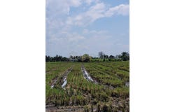 T, Tanjong Karang, Selangor 45500