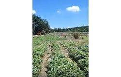 Rawang, Selangor 48020