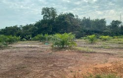 Kluang, Johor 86200
