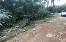 Banting, Selangor 42700